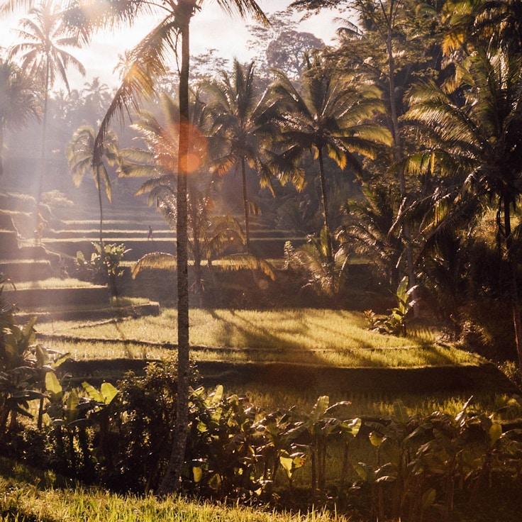 Entertainment zone at night in Canada